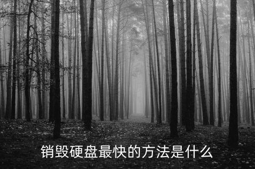 銷毀硬盤最快的方法是什么