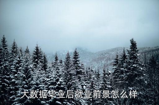 中國(guó)大數(shù)據(jù)能掙錢嗎,中國(guó)大數(shù)據(jù)產(chǎn)業(yè)已走過近10個(gè)年頭