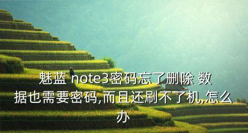  魅藍(lán) note3密碼忘了刪除 數(shù)據(jù)也需要密碼,而且還刷不了機(jī),怎么辦