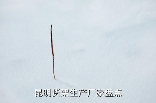 昆明貨架生產(chǎn)廠家盤點(diǎn)