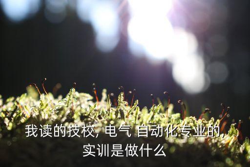 我讀的技校, 電氣 自動(dòng)化專業(yè)的,實(shí)訓(xùn)是做什么