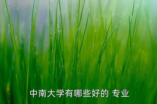  中南大學(xué)有哪些好的 專業(yè)