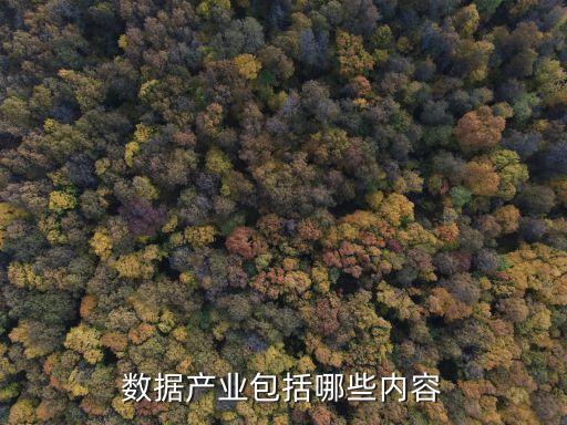 數據產業(yè)包括哪些內容