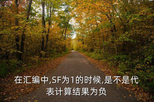 在匯編中,SF為1的時(shí)候,是不是代表計(jì)算結(jié)果為負(fù)