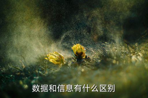 數(shù)據(jù)和信息有什么區(qū)別