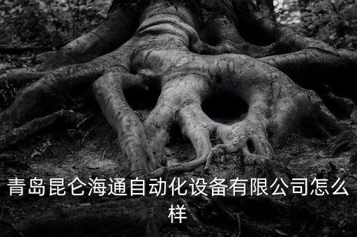青島昆侖海通自動化設(shè)備有限公司怎么樣