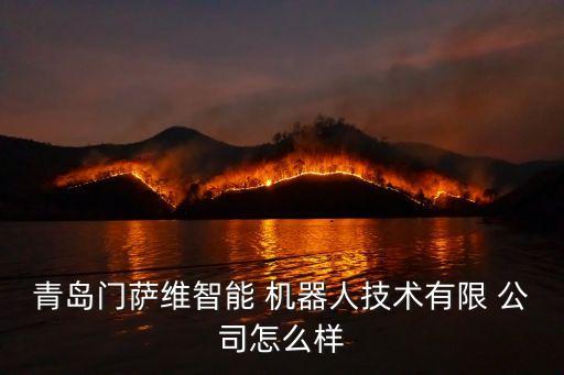 山東機器人公司央企,新松機器人是央企嗎