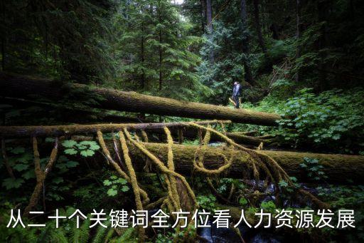 從二十個關鍵詞全方位看人力資源發(fā)展