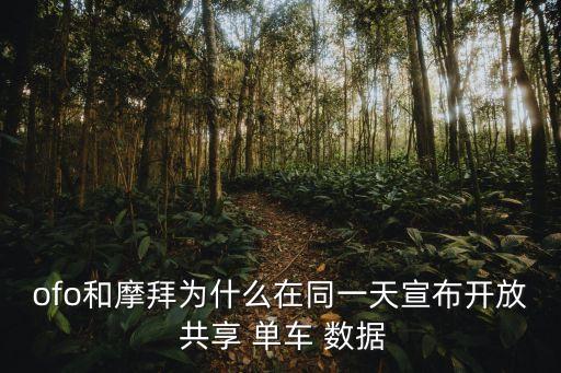 ofo和摩拜為什么在同一天宣布開放 共享 單車 數(shù)據(jù)