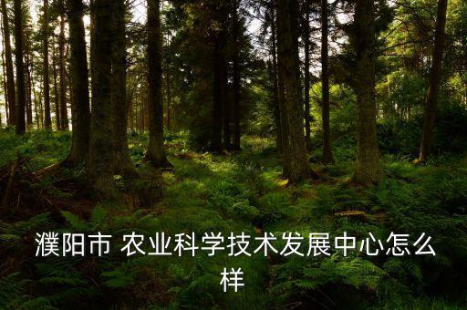  濮陽(yáng)市 農(nóng)業(yè)科學(xué)技術(shù)發(fā)展中心怎么樣