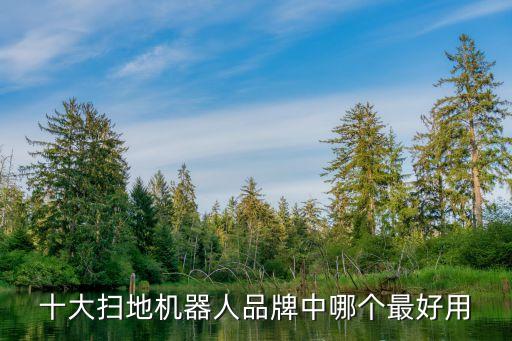 vivo機(jī)器人是什么牌子好,掃地機(jī)器人怎么做?看這里!