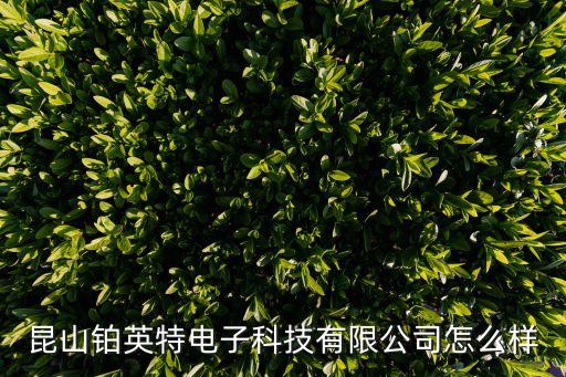 昆山鉑英特電子科技有限公司怎么樣