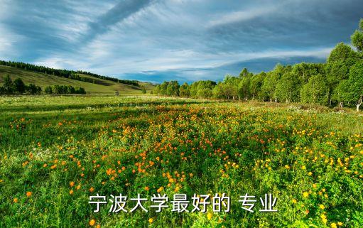  寧波大學最好的 專業(yè)