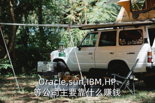 Oracle,sun,IBM,HP等公司主要靠什么賺錢