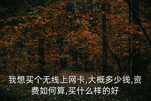 我想買個(gè)無(wú)線上網(wǎng)卡,大概多少錢,資費(fèi)如何算,買什么樣的好
