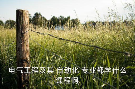 電氣工程及其 自動(dòng)化 專業(yè)都學(xué)什么課程啊