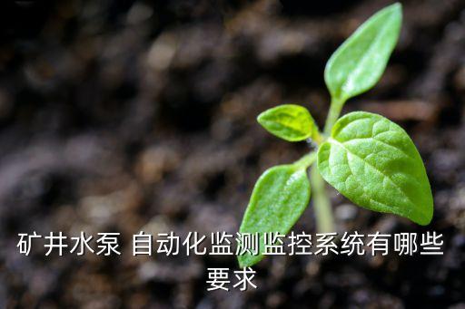 礦井水泵 自動(dòng)化監(jiān)測(cè)監(jiān)控系統(tǒng)有哪些要求