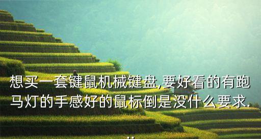 想買一套鍵鼠機(jī)械鍵盤,要好看的有跑馬燈的手感好的鼠標(biāo)倒是沒什么要求...