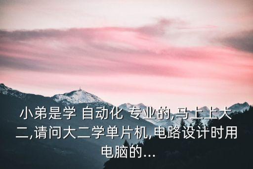 小弟是學 自動化 專業(yè)的,馬上上大二,請問大二學單片機,電路設計時用 電腦的...
