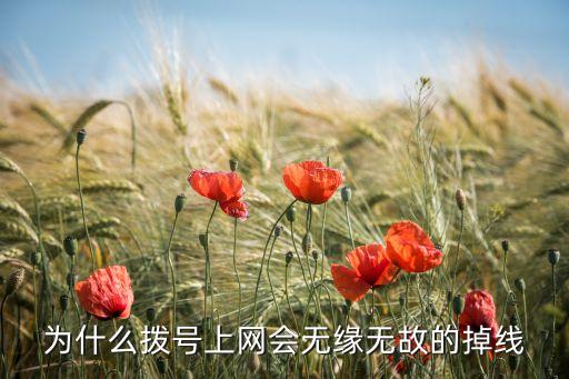為什么撥號(hào)上網(wǎng)會(huì)無(wú)緣無(wú)故的掉線