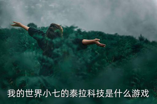 我的世界小七的泰拉科技是什么游戲