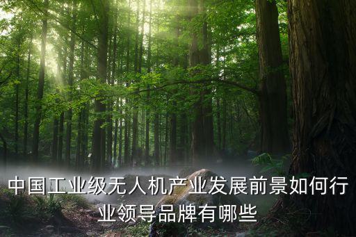 中國(guó)工業(yè)級(jí)無人機(jī)產(chǎn)業(yè)發(fā)展前景如何行業(yè)領(lǐng)導(dǎo)品牌有哪些
