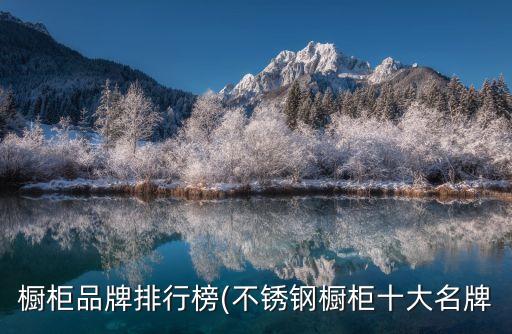 全自動化廚房公司名稱,大學(xué)生廚房公司名稱