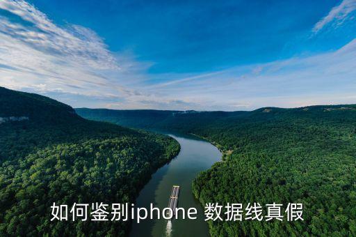 如何鑒別iphone 數(shù)據(jù)線真假