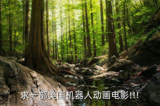 求一部美國(guó)機(jī)器人動(dòng)畫(huà)電影!!!