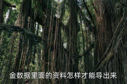 金數(shù)據(jù) 導(dǎo)出資料,金數(shù)據(jù)怎么導(dǎo)出數(shù)據(jù)?