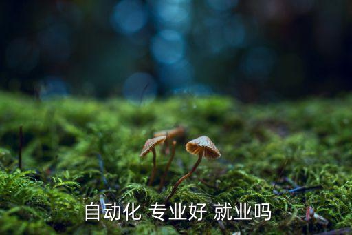 專業(yè)自動化就業(yè)前景,自動化專業(yè)的就業(yè)前景和方向
