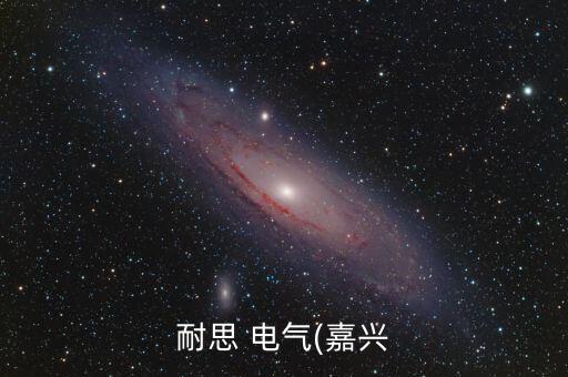 耐思 電氣(嘉興