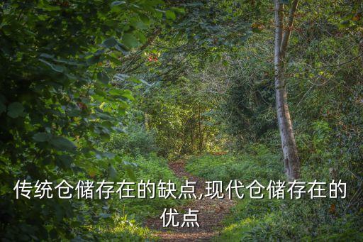 傳統(tǒng)倉儲(chǔ)存在的缺點(diǎn),現(xiàn)代倉儲(chǔ)存在的優(yōu)點(diǎn)