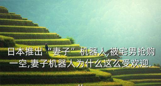 日本推出“妻子”機(jī)器人,被宅男搶購一空,妻子機(jī)器人為什么這么受歡迎...