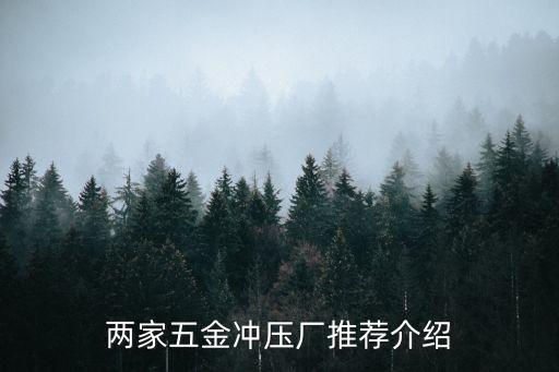 兩家五金沖壓廠推薦介紹