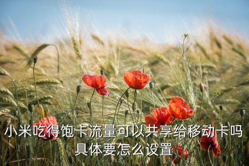 小米吃得飽卡流量可以共享給移動卡嗎具體要怎么設置