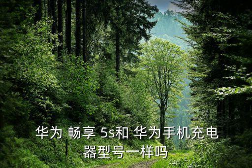  華為 暢享 5s和 華為手機充電器型號一樣嗎