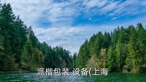 自動化煙花設(shè)備捆綁機