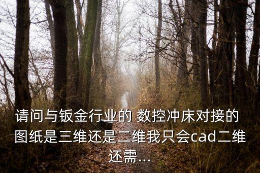 請(qǐng)問與鈑金行業(yè)的 數(shù)控沖床對(duì)接的 圖紙是三維還是二維我只會(huì)cad二維還需...