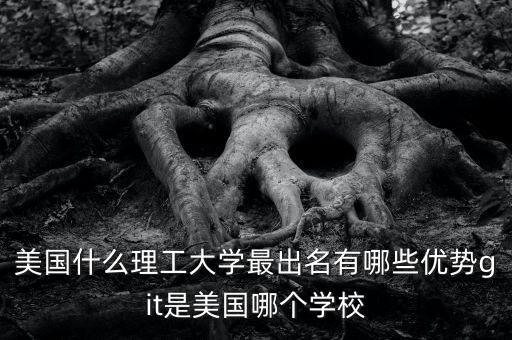 紐約理工大學(xué)自動化專業(yè),一所理工學(xué)院一所私立大學(xué)之別
