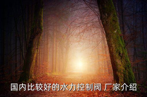 華盛自動化機械設備廠家,泉州市華盛機械設備有限公司