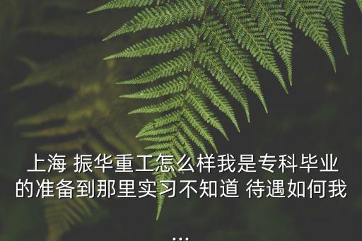  上海 振華重工怎么樣我是?？飘厴I(yè)的準(zhǔn)備到那里實(shí)習(xí)不知道 待遇如何我...