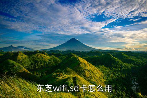  東芝wifi,sd卡怎么用