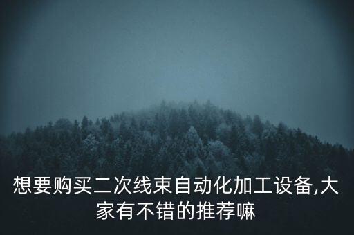 想要購(gòu)買(mǎi)二次線束自動(dòng)化加工設(shè)備,大家有不錯(cuò)的推薦嘛
