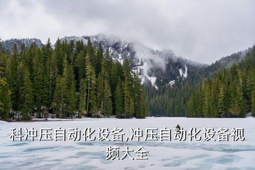尼得科沖壓自動(dòng)化設(shè)備,沖壓自動(dòng)化設(shè)備視頻大全
