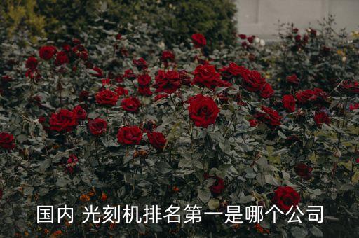 國產(chǎn)光刻機