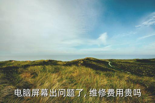 電腦屏幕出問題了, 維修費(fèi)用貴嗎