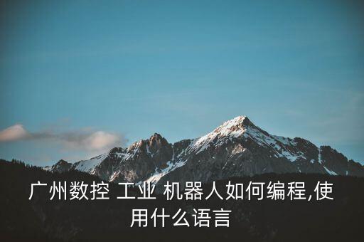 工業(yè)機(jī)器人程序編寫(xiě)
