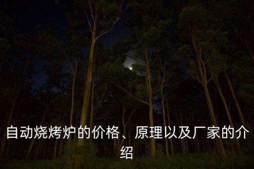 自動燒烤爐的價格、原理以及廠家的介紹