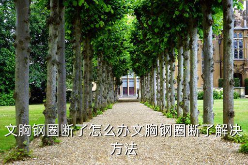 文腦針車自動化設(shè)備視頻